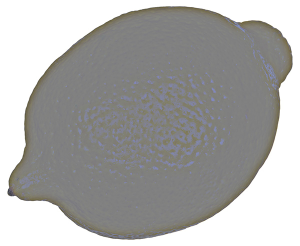Figure 7: That's how the skin texture looks (never mind it's gray)
