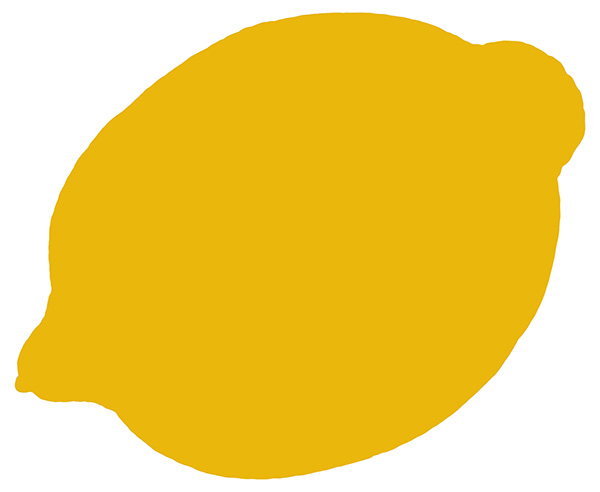 Figure 3: An embarrassingly flat lemon